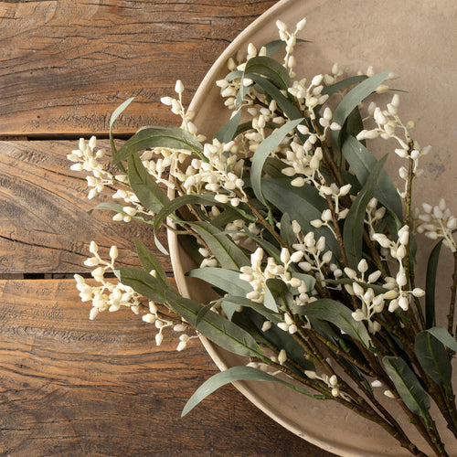 Bouquet d'eucalyptus & bourgeons blancs||Bouquet of eucalyptus & white buds