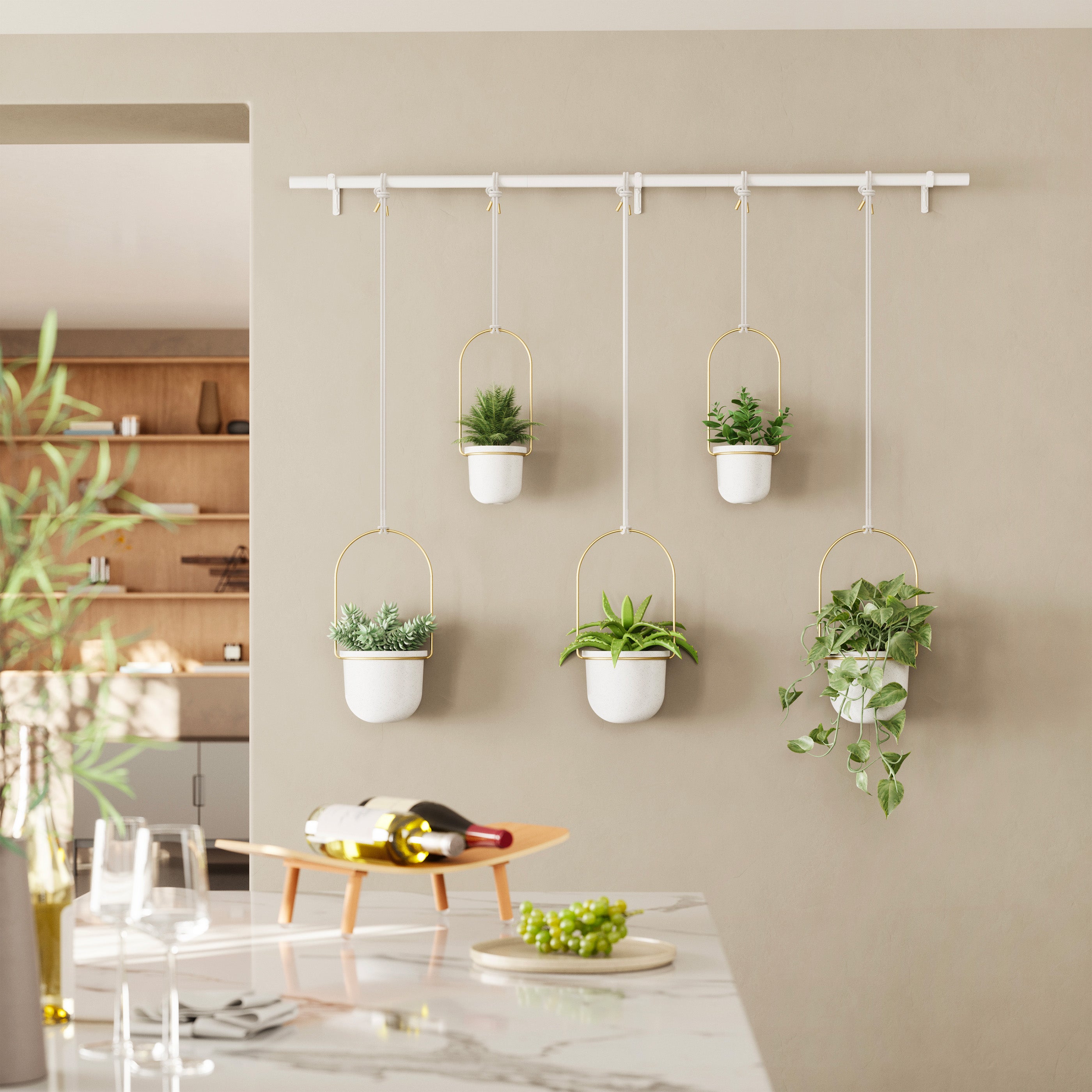 umbra triflora hanging planter Large hanging planter
