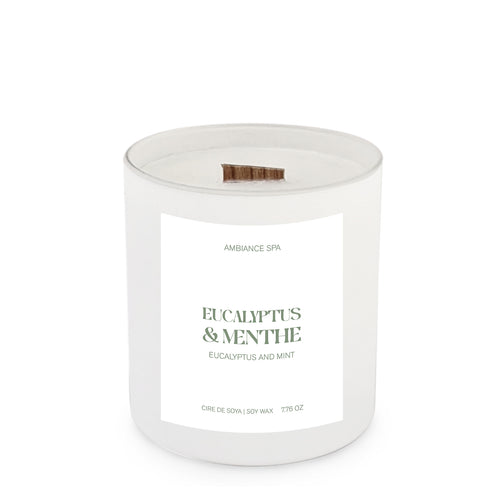 Chandelle - Eucalyptus & menthe||Candle - Eucalyptus & mint