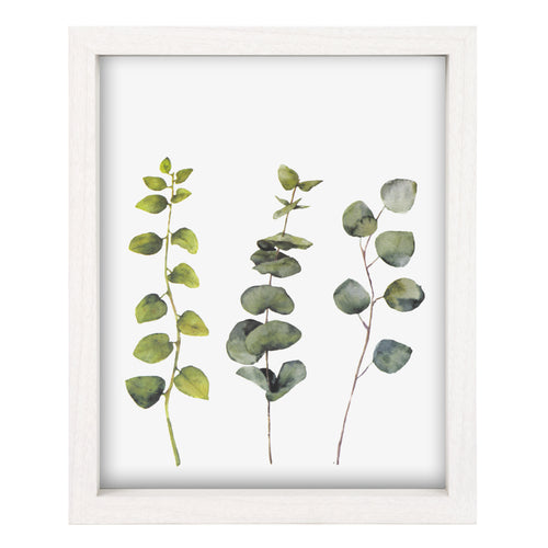 Cadre photo 8 x 10 - Eucalyptus||Picture frame 8 x 10 - Eucalyptus