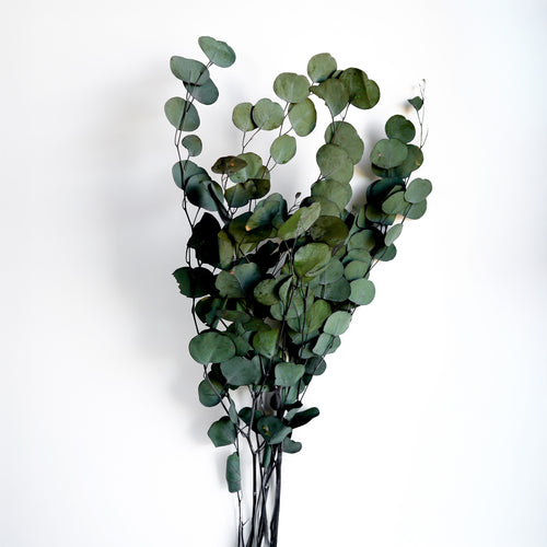 Bouquet d'eucalyptus - 25"