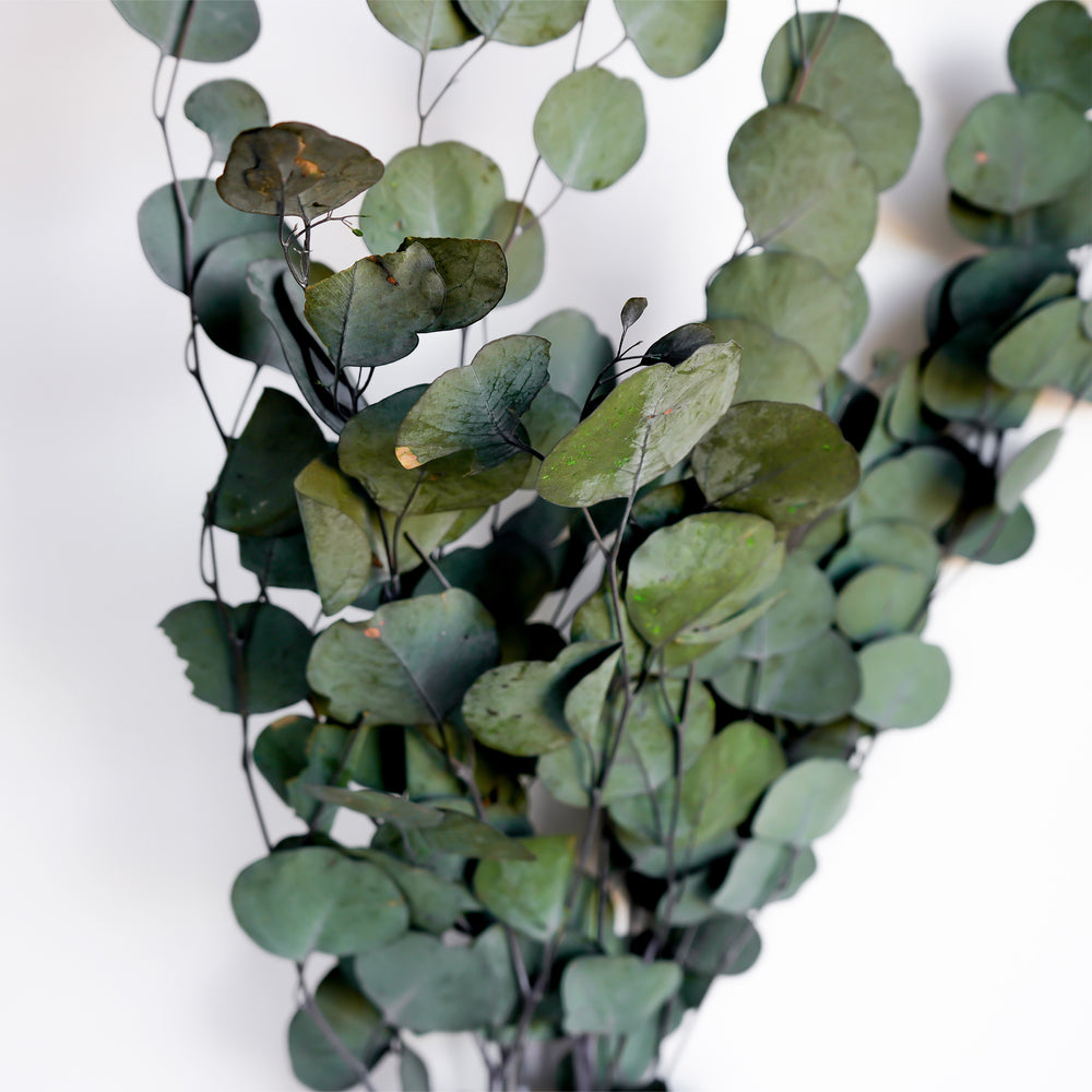 Bouquet d'eucalyptus - 25"
