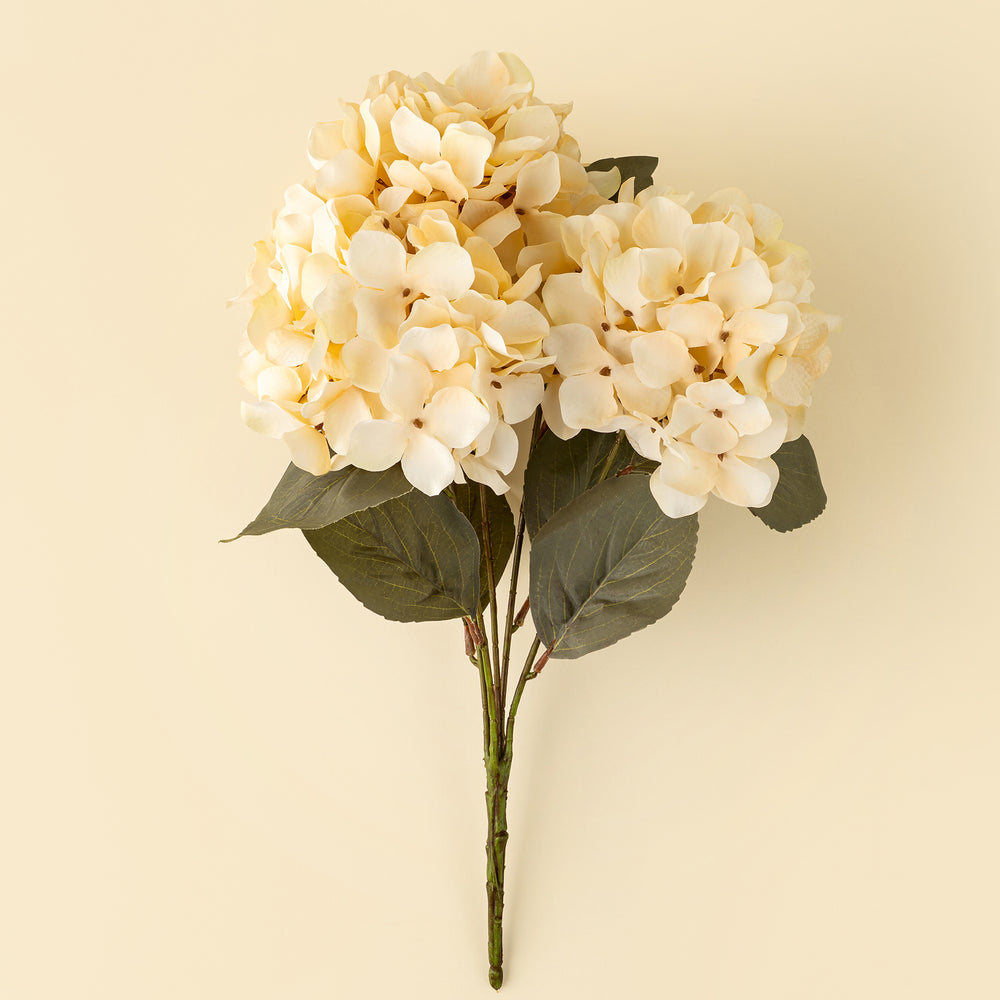 Hydrangea Branch - Cream