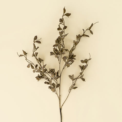 Tige d'eucalyptus fumé