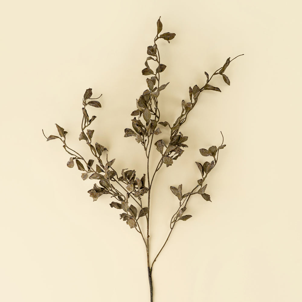 Tige d'eucalyptus fumé