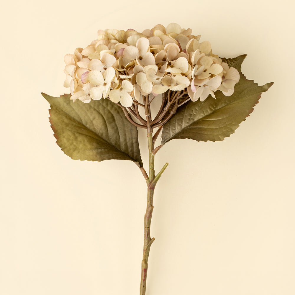 Hydrangea branch - White