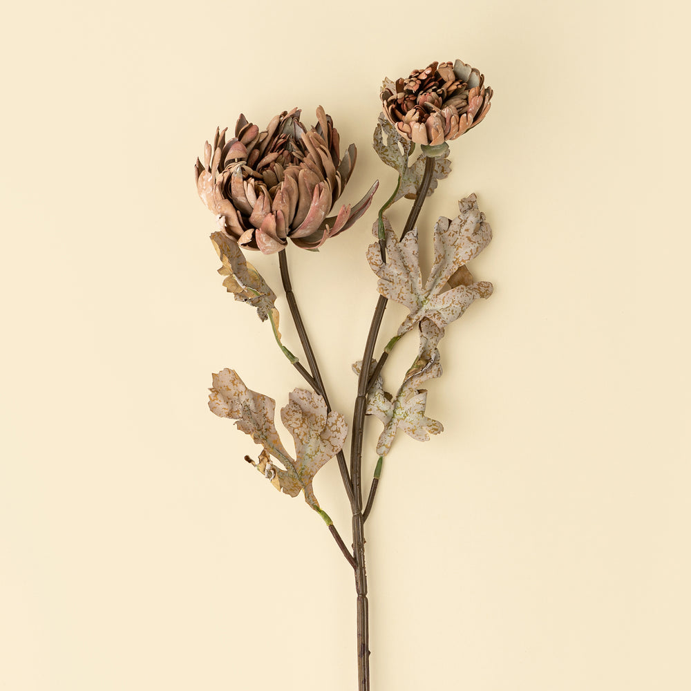 Dahlia flower stem - Brown