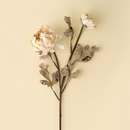 Tige de fleurs de Dahlia - Crème