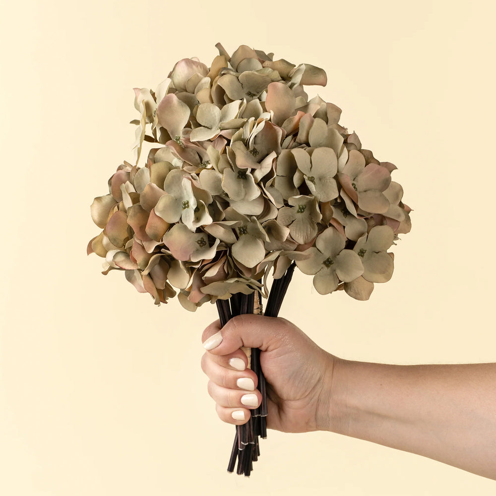 Bouquet d'hydrangées - Vert