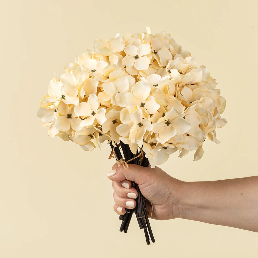 Bouquet d'hydrangées - Crème