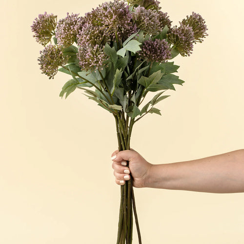 Sedum bouquet - Mauve