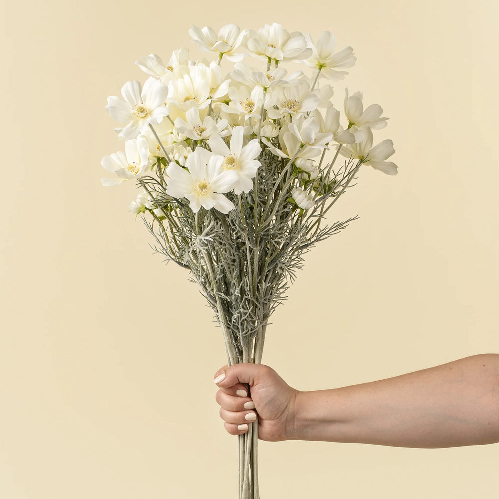 Cosmos flower stem - White