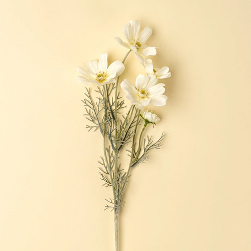 Cosmos flower stem - White