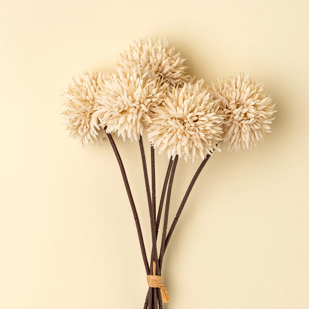 Bouquet d'allium - Crème