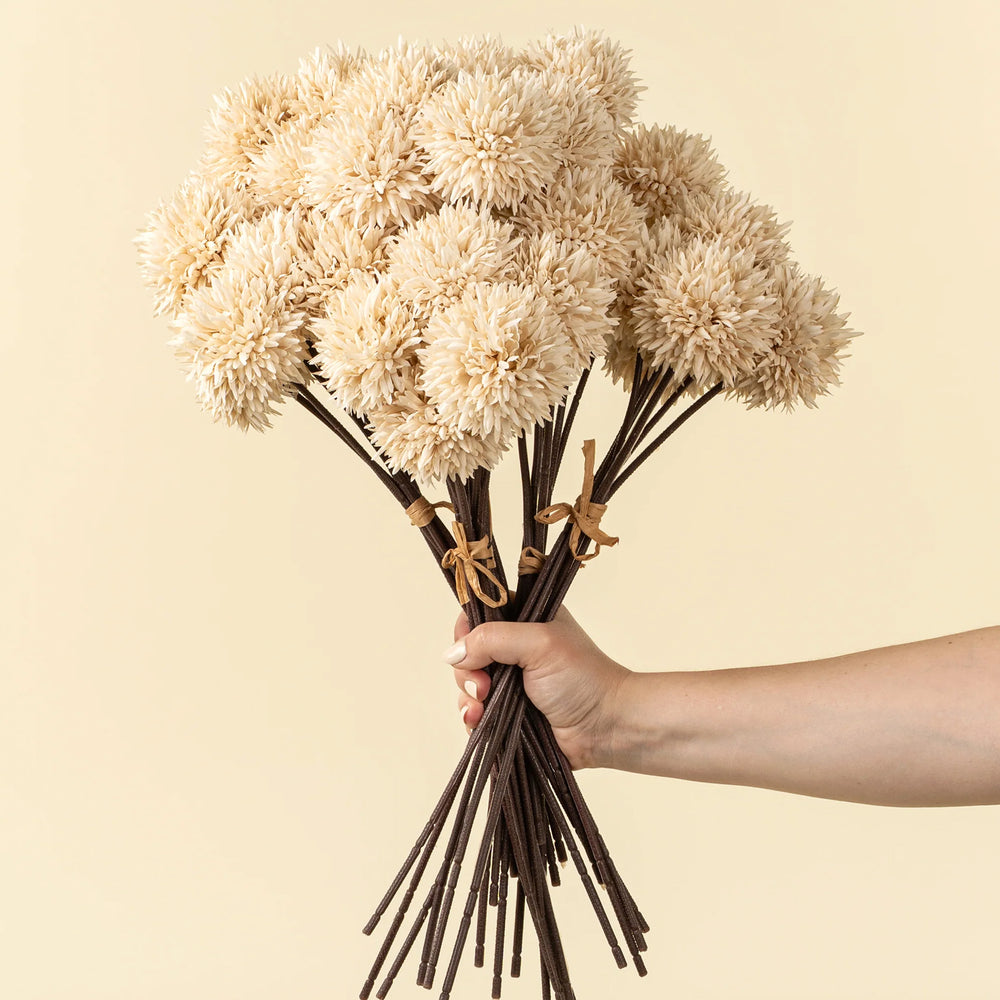 Bouquet d'allium - Crème