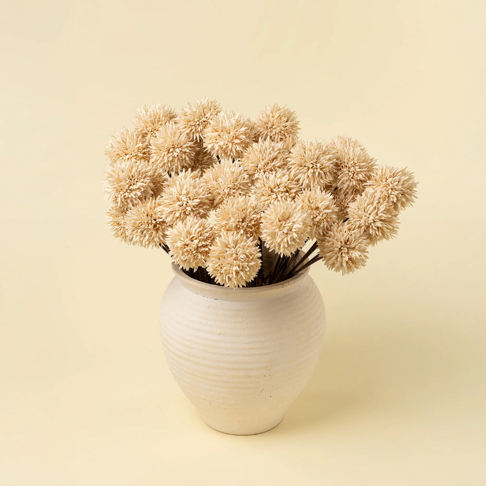 Bouquet d'allium - Crème