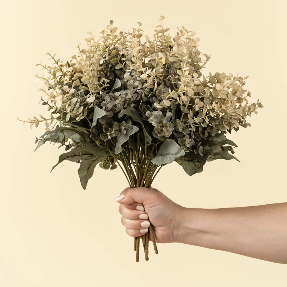 Tige d'eucalyptus - Primrue