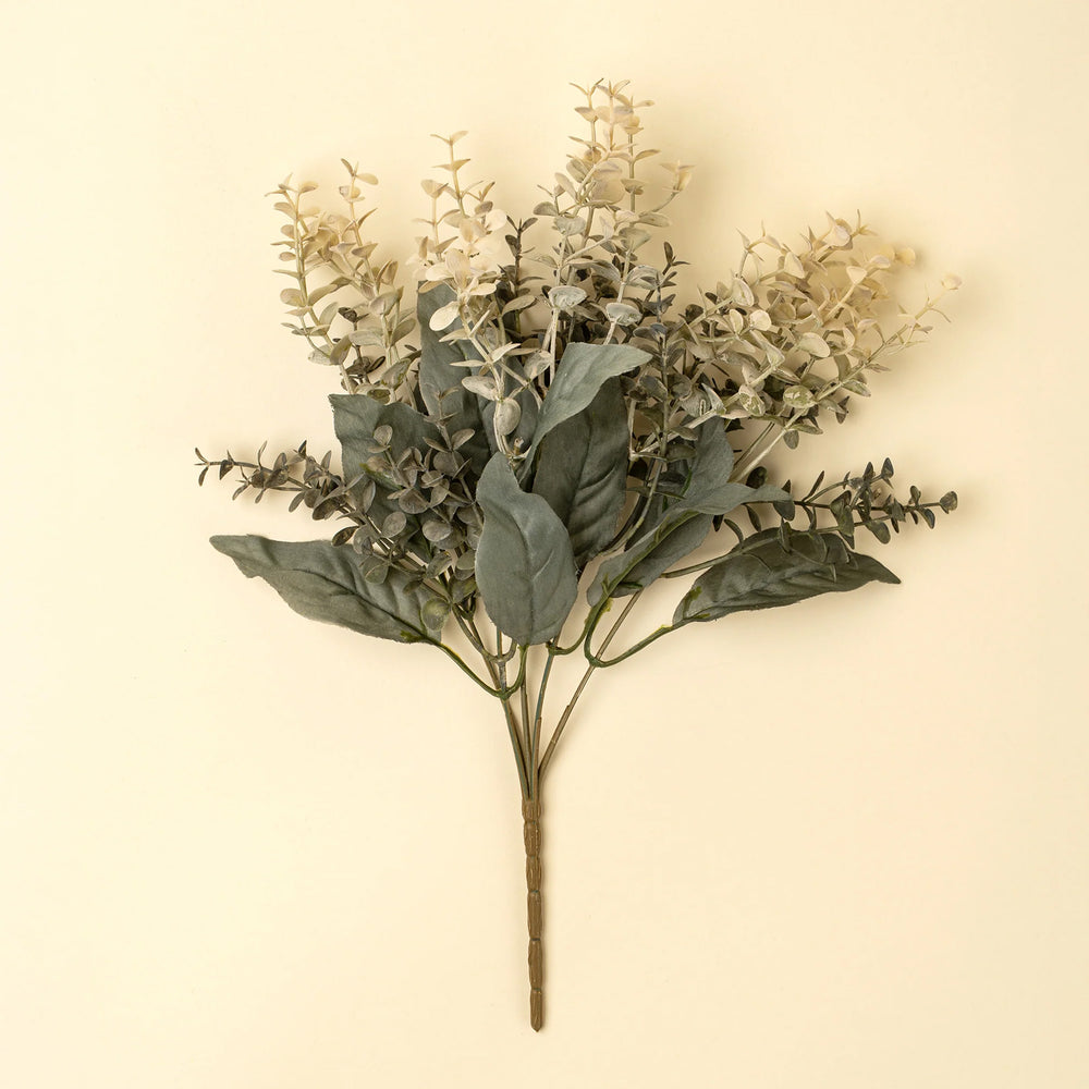 Tige d'eucalyptus - Primrue