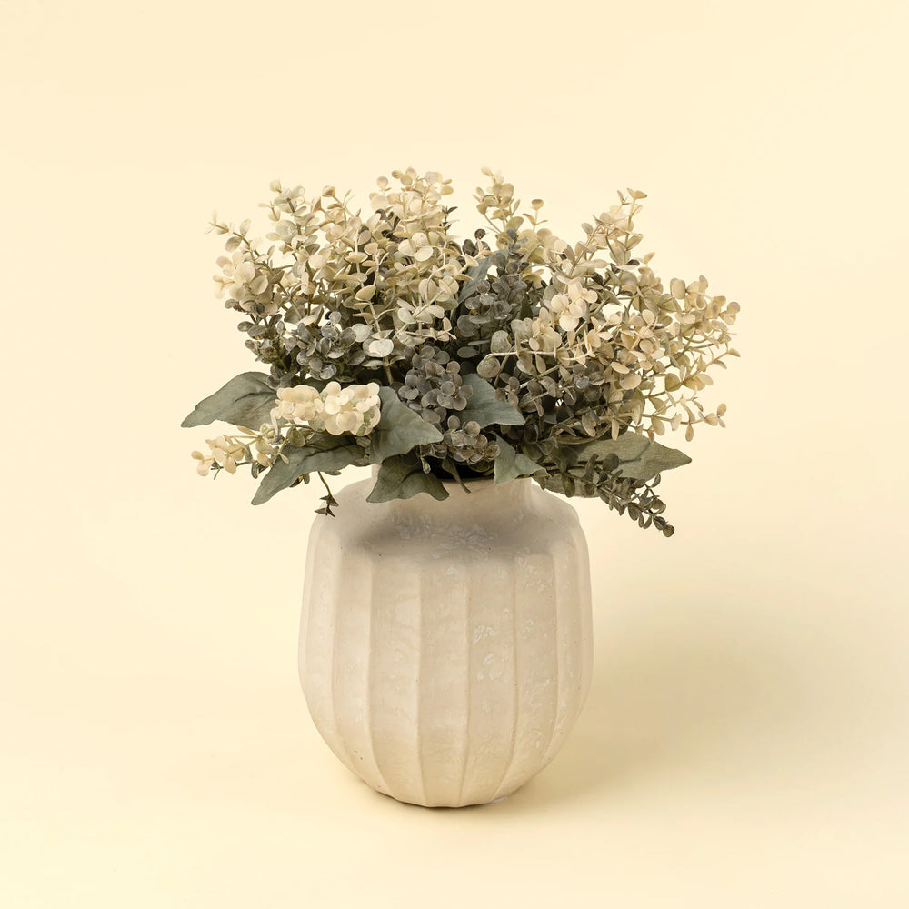 Tige d'eucalyptus - Primrue