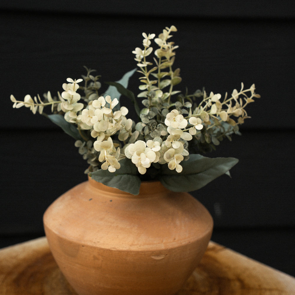 Tige d'eucalyptus - Primrue