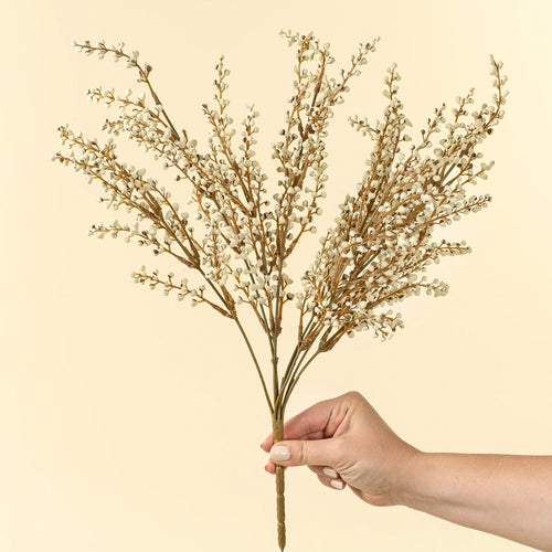 Bouquet de bruyère - Crème