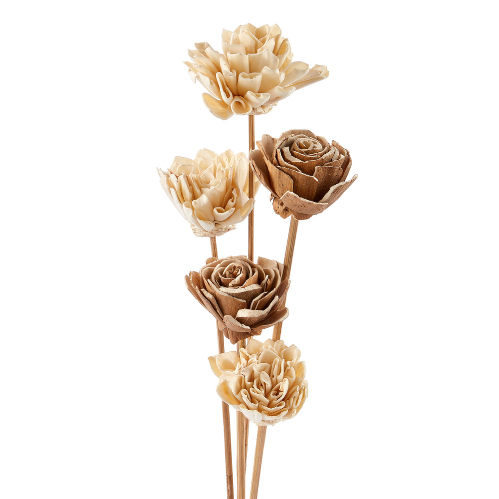 Ensemble de 5 tiges - Fleurs de Shola||Set of 5 stems - Shola flowers
