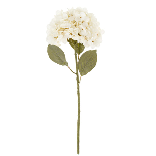 Hydrangea stem - White