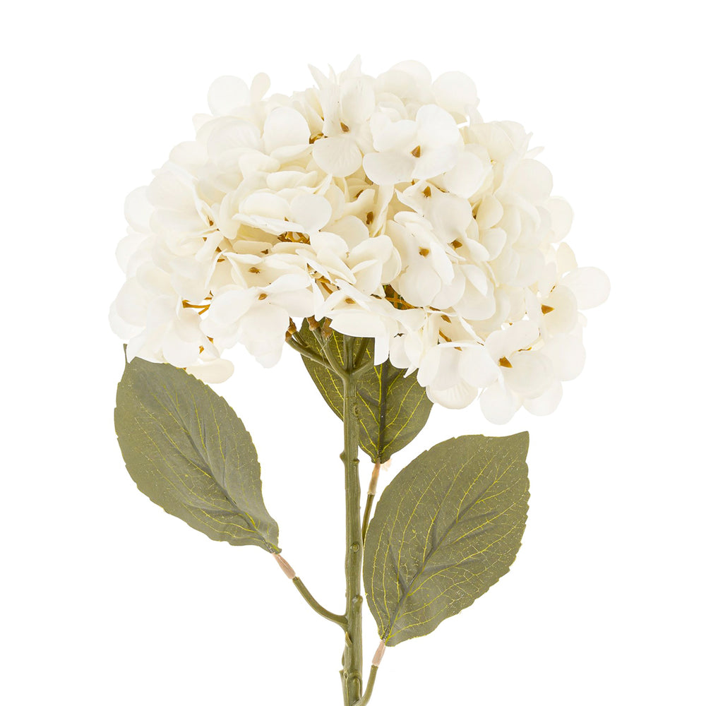 Hydrangea stem - White