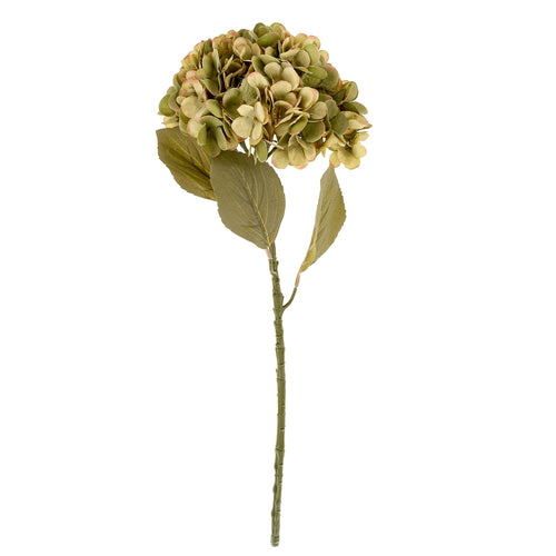 Hydrangea stem - Green