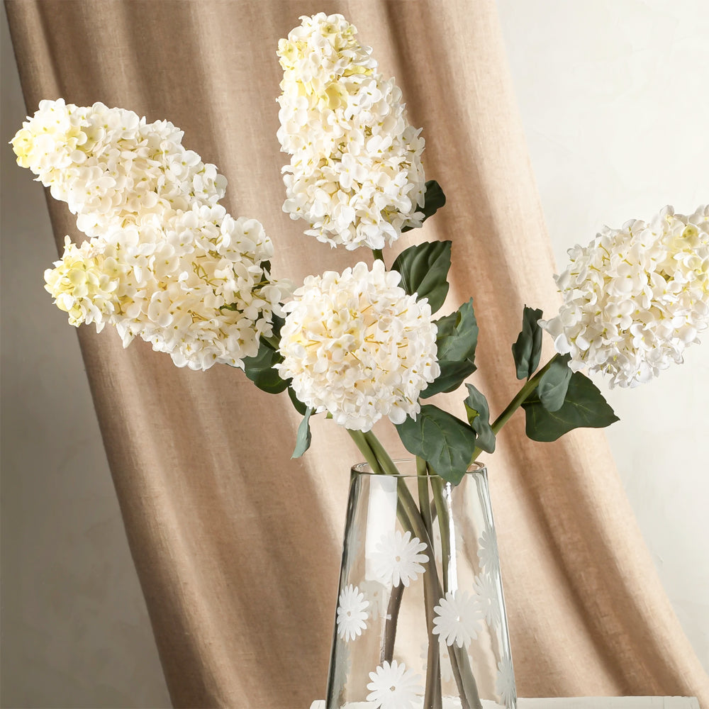 Hydrangea paniculata stem - White