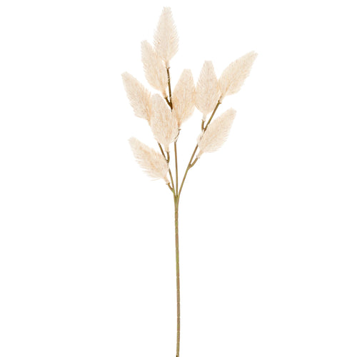 Bunny tail branch - Cream