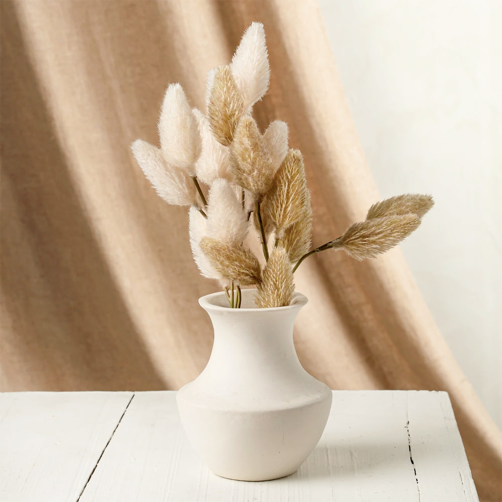 Bunny tail branch - Cream