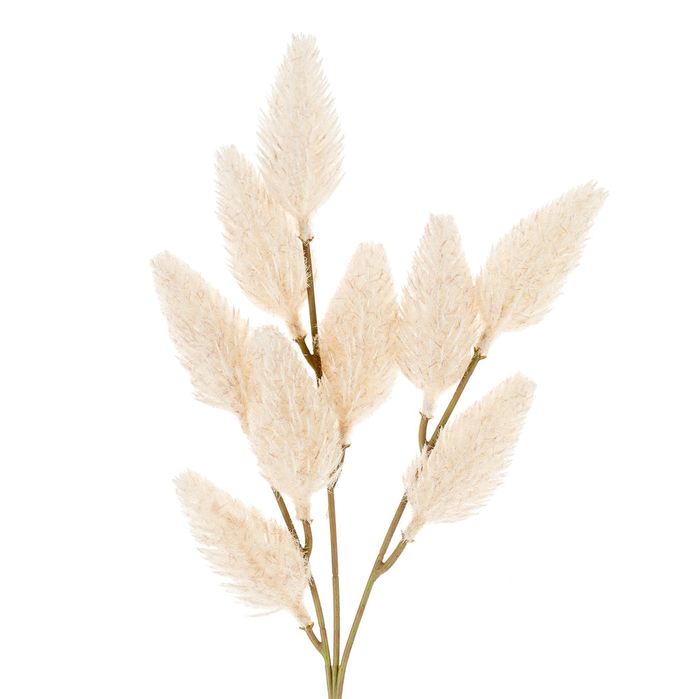 Bunny tail branch - Cream