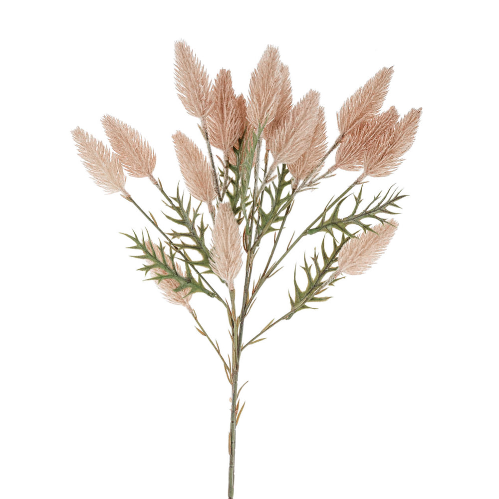 Hare tail branch - Natural