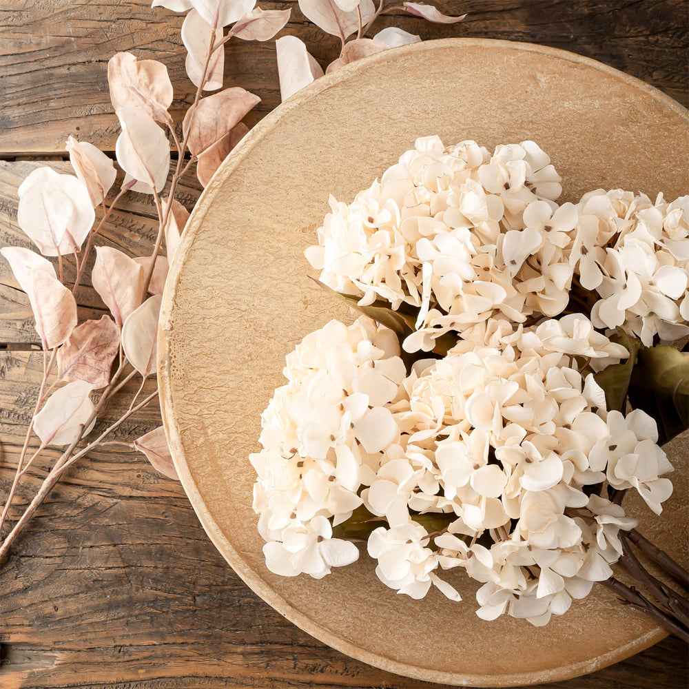 Hydrangea stem - Cream