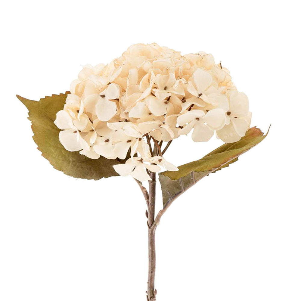 Hydrangea stem - Cream