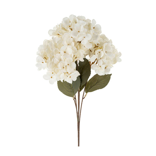 Bouquet de fleurs - Hortensia||Bouquet of flowers - Hydrangea
