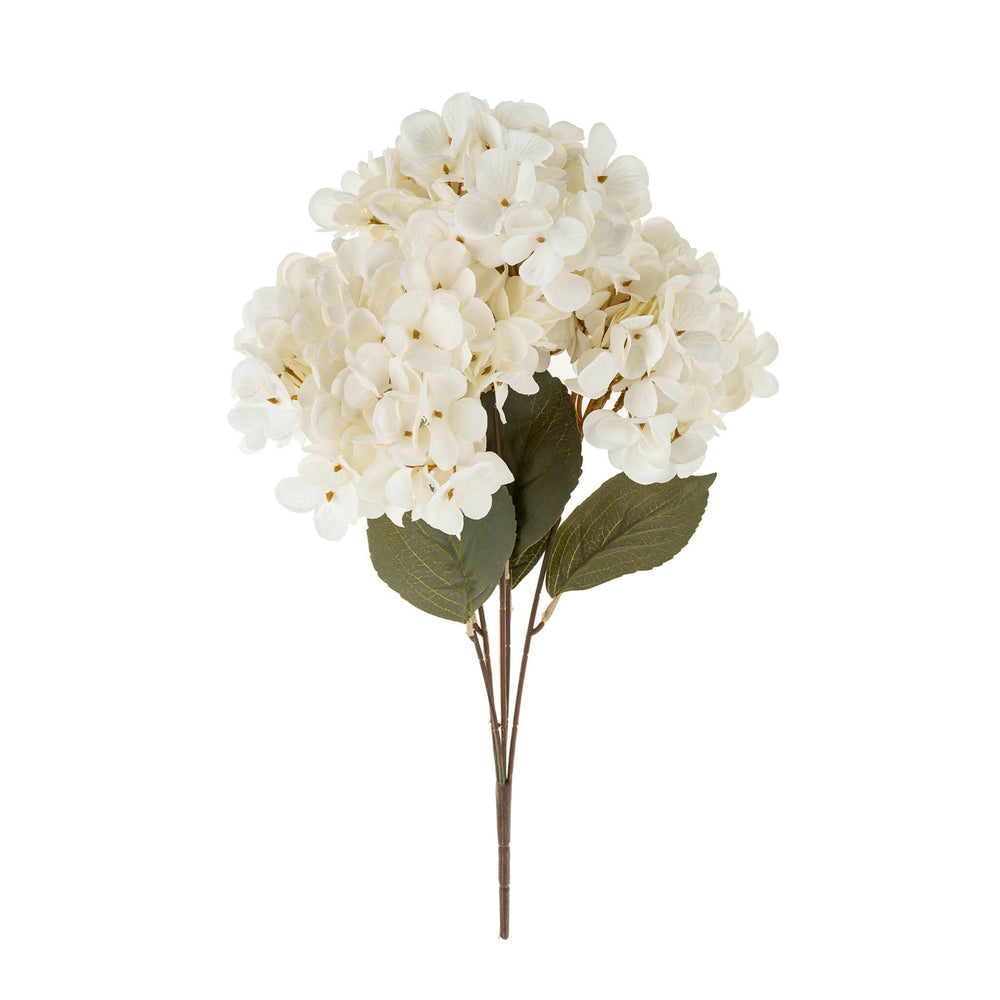 Bouquet de fleurs - Hortensia||Bouquet of flowers - Hydrangea