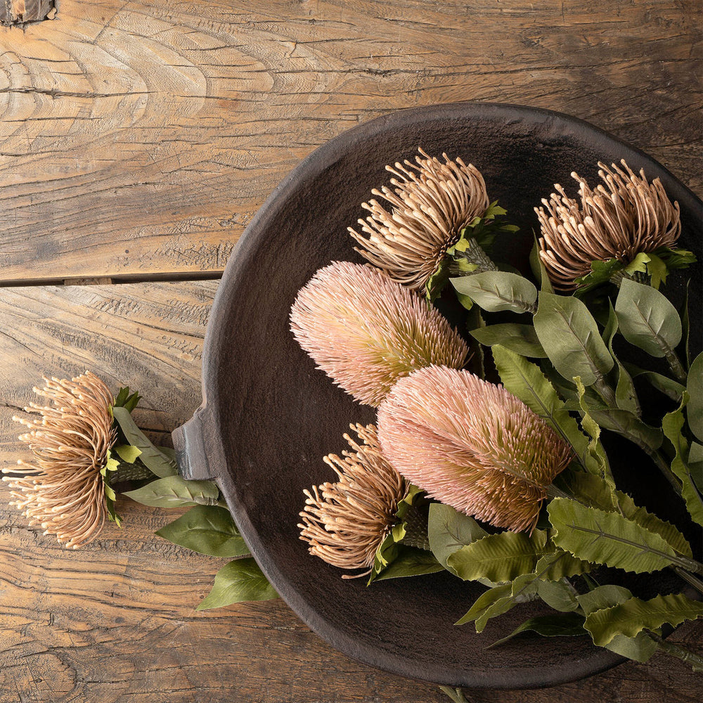 Natural flower stem - Protea