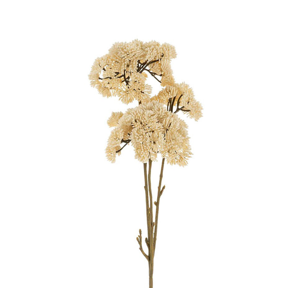 Tige de fleurs crèmes - Pompons||Cream Flower Stem - Pompoms