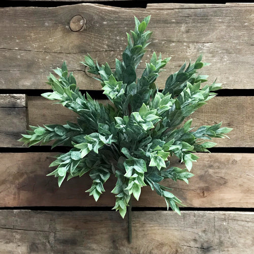 Bouquet de feuilles de ruscus