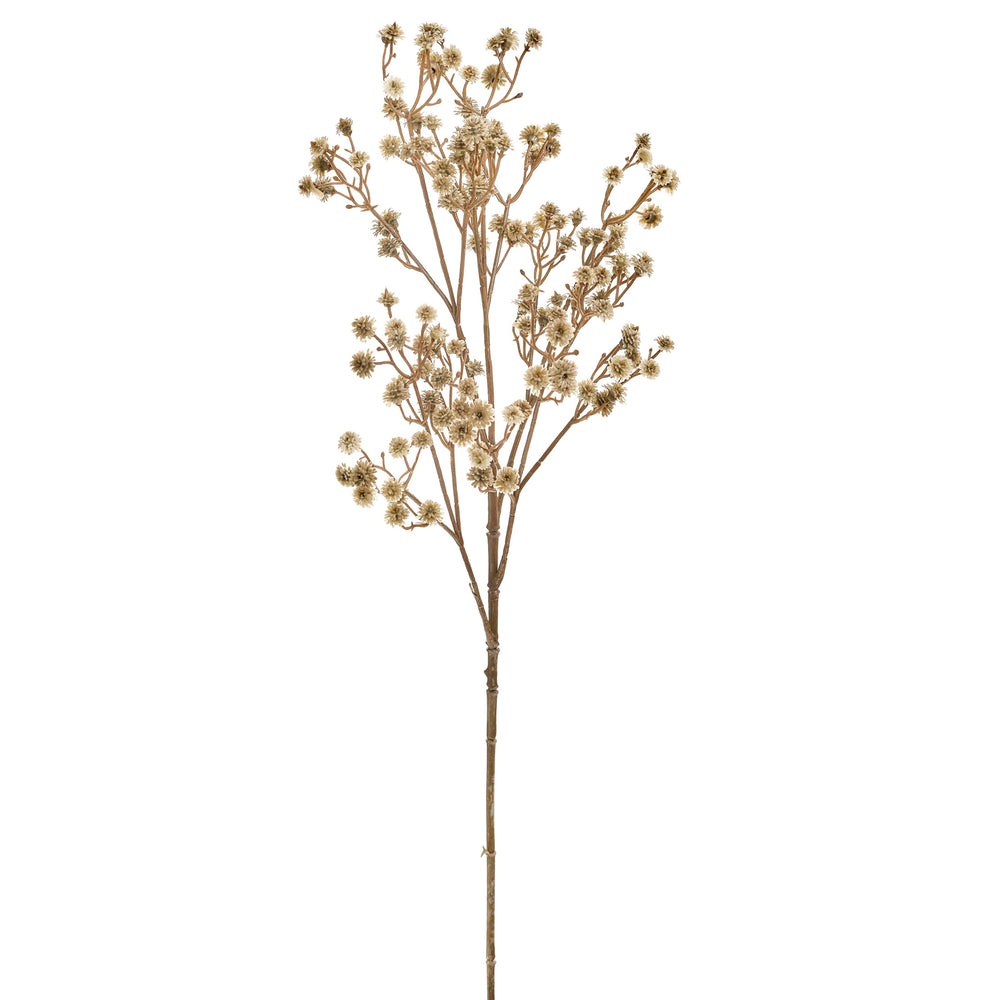 Allium Branch - Green