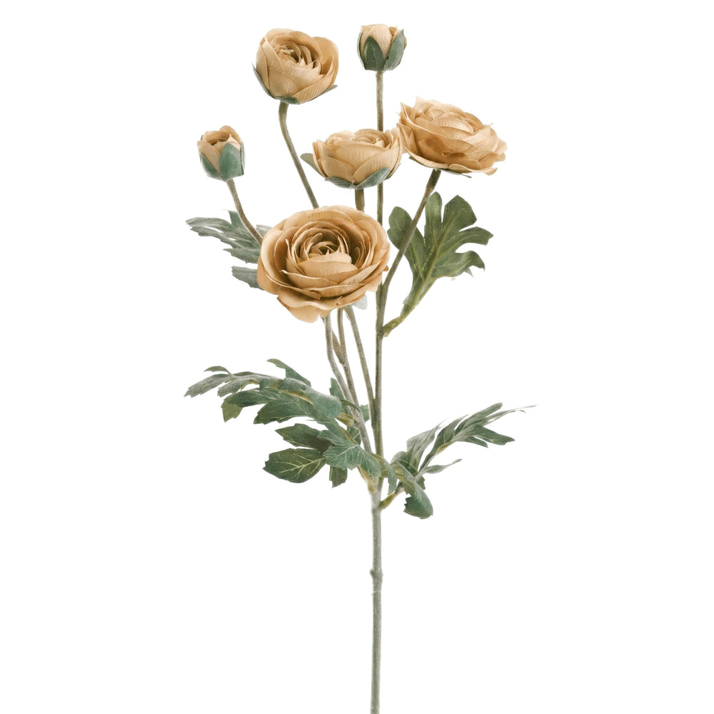 Flower Stem - Beige Ranunculus