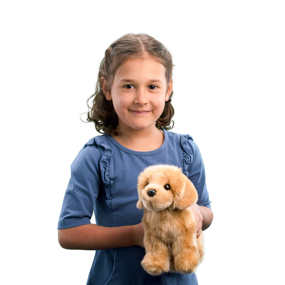 Peluche - Chap le Golden retriever