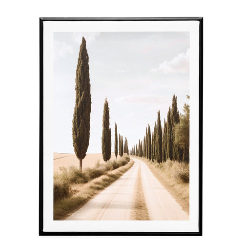 Canvas - Cypress Path