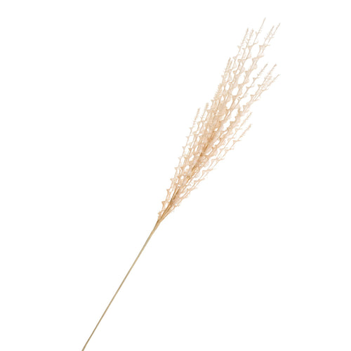 Fall grass stem - Beige