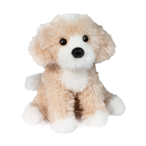 Peluche - Darcy le goldendoodle