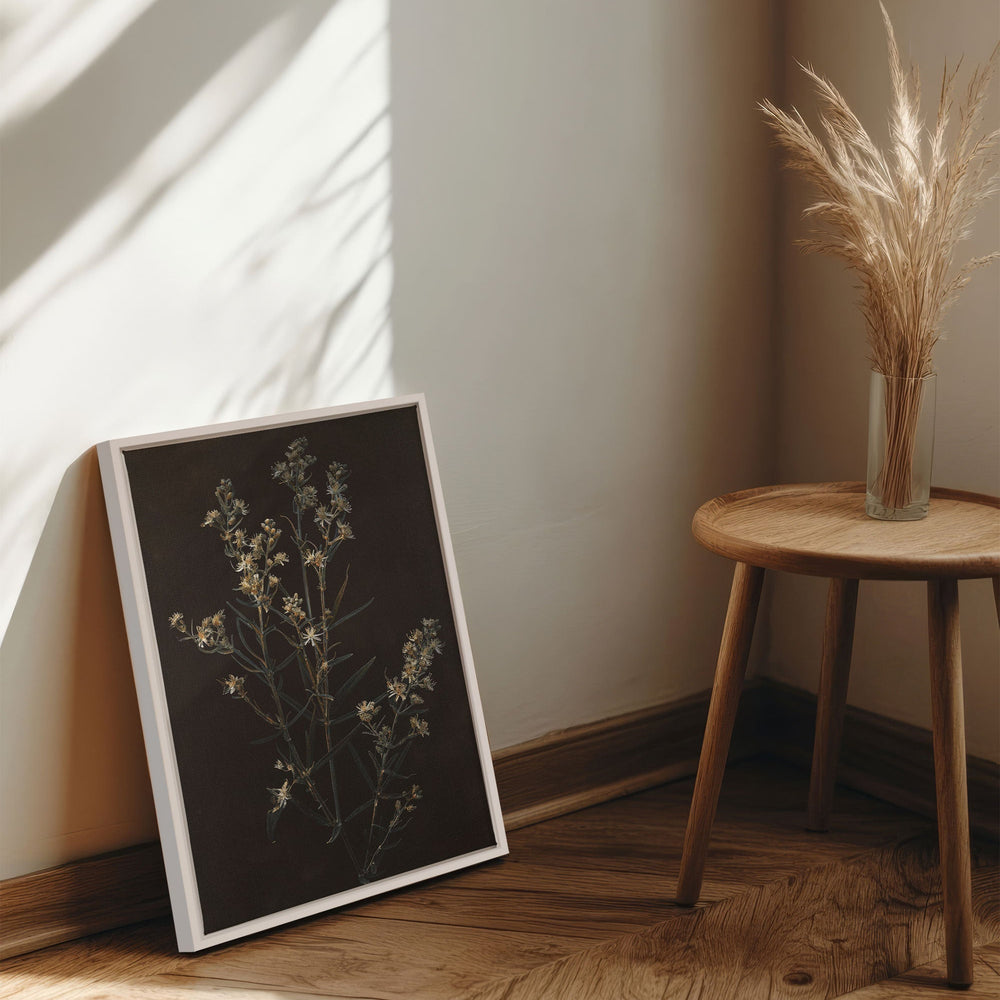 Toile - Fleur d'argent