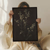 Toile - Fleur d'argent