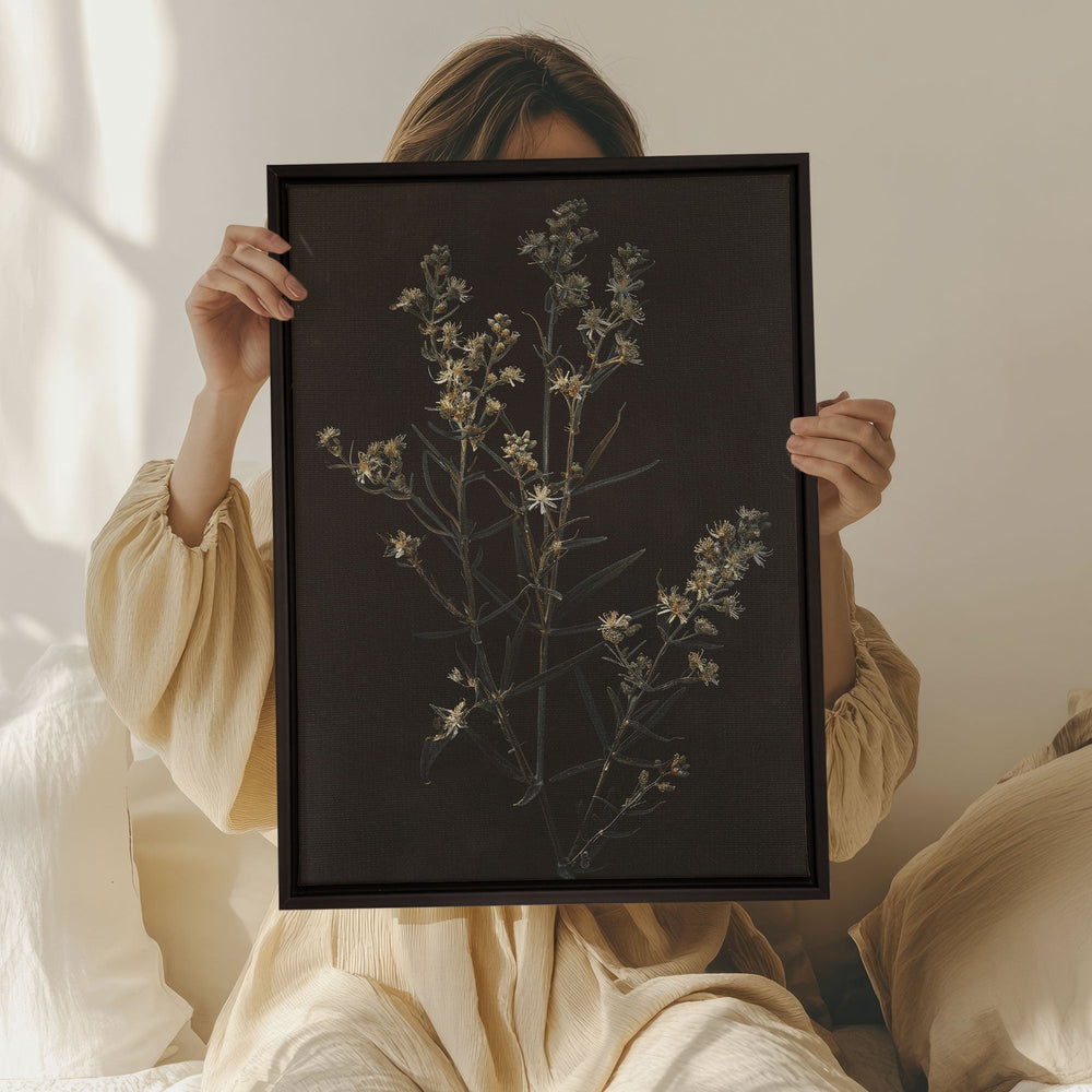 Toile - Fleur d'argent